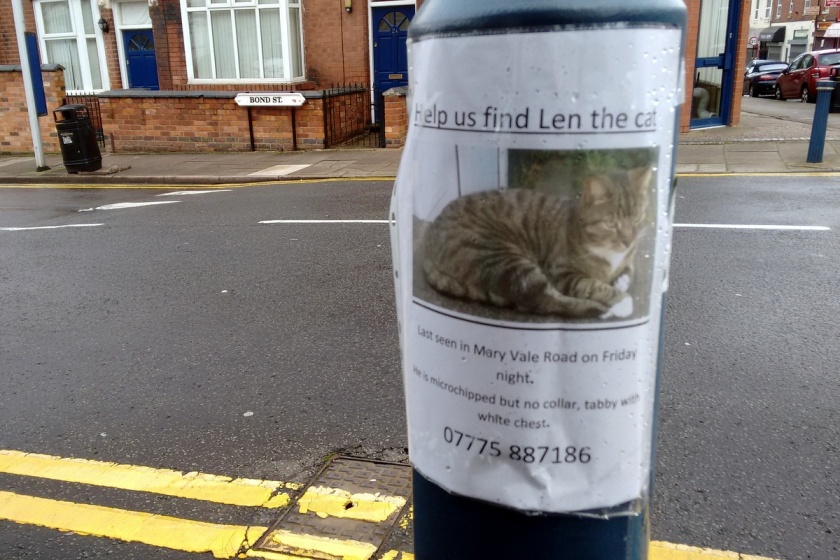 Poster advertising missing cat, spotted on lamp post on Bond Street in Stirchley